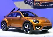 Volkswagen Beetle Dune